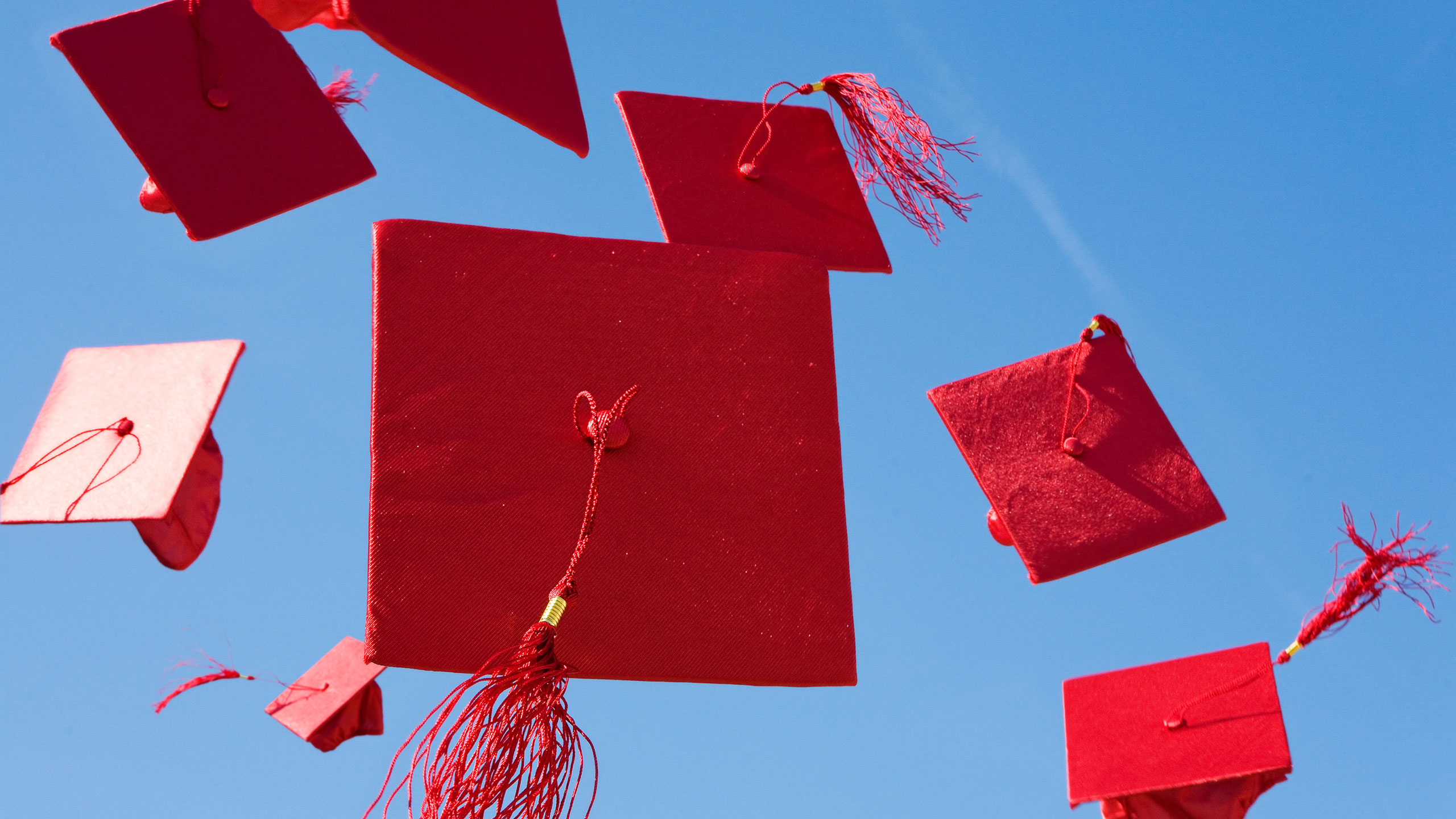 Stock photo of graduation caps in the air.